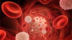 第二届中国青年免疫学者论坛会议纪要 第二届中国青年免疫学者论坛会议纪要