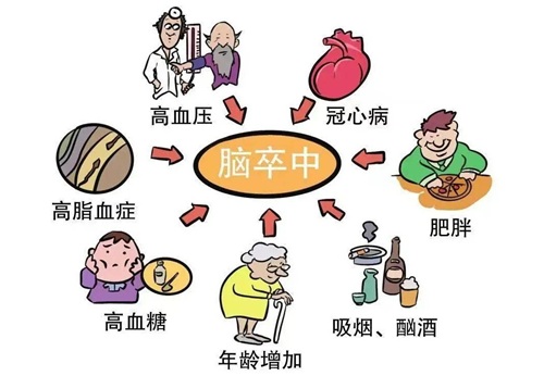 卒中与免疫