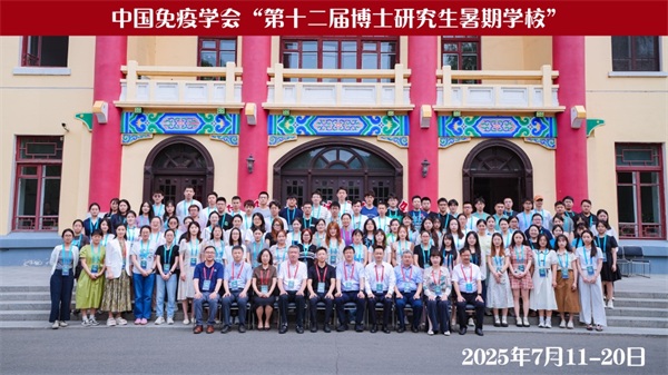 Summer School 2025 of CSI